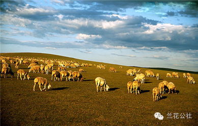 呼倫貝爾，不僅有最美的夏天，還有童話般的金秋——農(nóng)林牧漁的豐盈畫(huà)卷